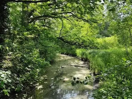Photo de Klosterpark Wienhausen