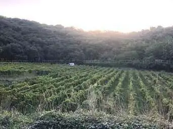 Photo de Trou de Météore