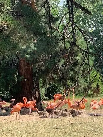 Photo de Aksaray İl Sınırı