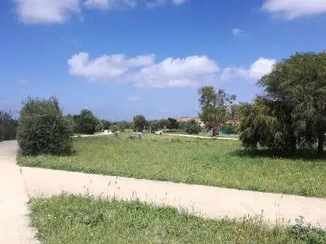 Photo de Parco Sportivo Adelasia Cocco