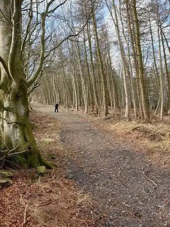 Photo de Backhill Wood