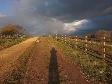 Photo de Combe Valley Countryside Park