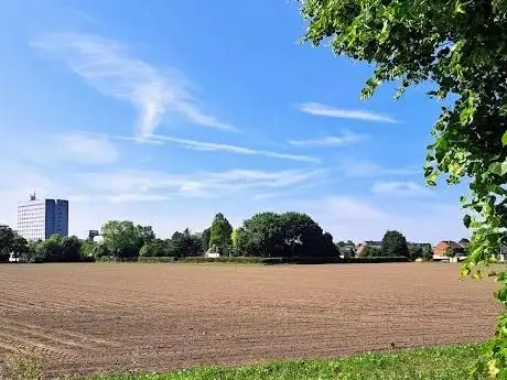 Photo de Mein Gemüseacker