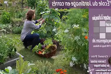 Photo de Le Potager En Carrés À The French And School Gardening En Carrés