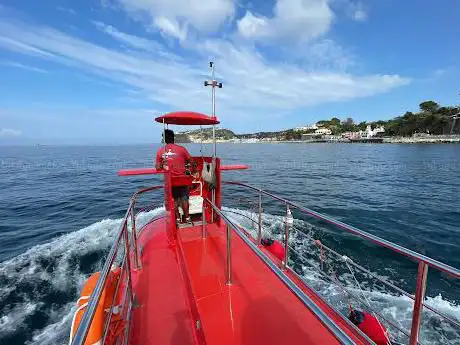 Photo de Nemo Sub | Escursioni Ischia