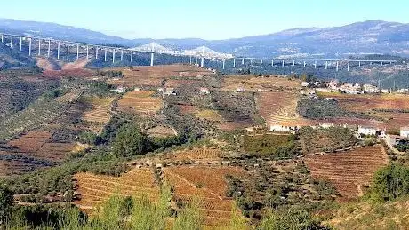 Photo de Miradouro de Santa Bárbara