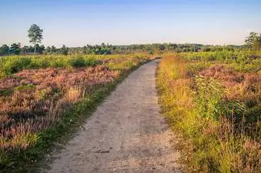 Photo de Nationaal Park Sallandse Heuvelrug