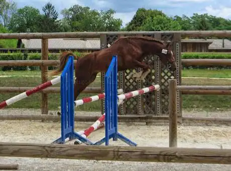 Photo de Ecuries des Collines