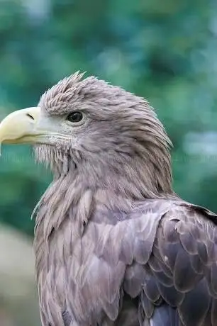 Photo de Vogeltouren MV