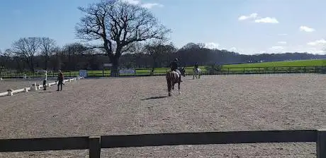 Photo de Anvil Park Stud