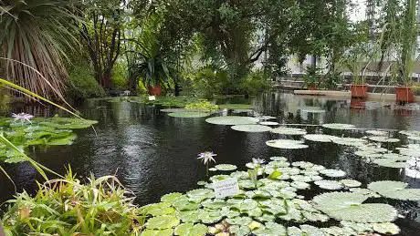 Photo of Jardin botanique de l'université de Leipzig
