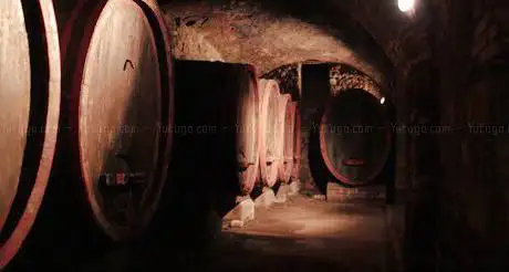 Photo de MUVIS - Wine Museum and Sciences food and agriculture