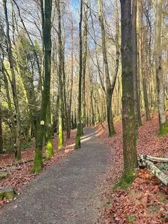 Photo de The Lord's Wood Carpark