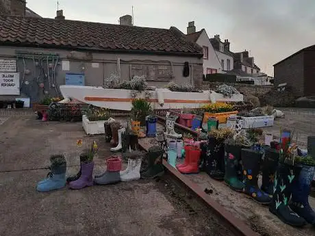 Photo de Welly Garden