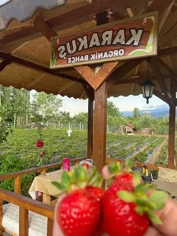 Photo de Karakuş Meyve Bahçesi
