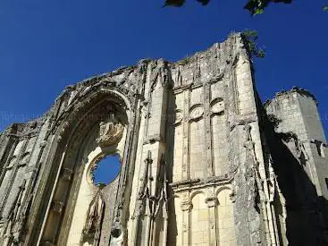Photo de Ruines du château et de la collégiale des Roches-Tranchelion