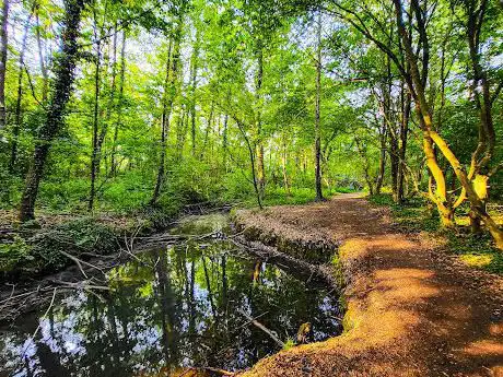 Photo de Sile Springs Water Gate