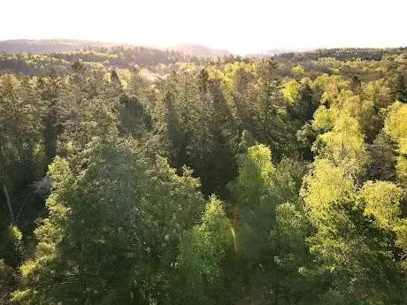 Photo de Varlaskogen