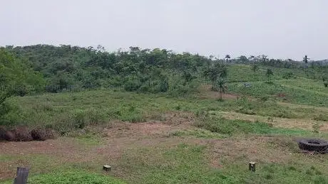 Photo de Elizade Golf Course
