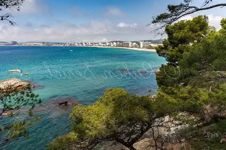 Photo de Oficina de Turisme Platja d'Aro