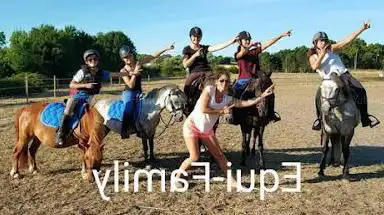 Photo de Equifamily - Pension - Poney Club - Stages - Laser game