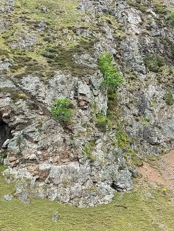 Photo de Soldiers Head