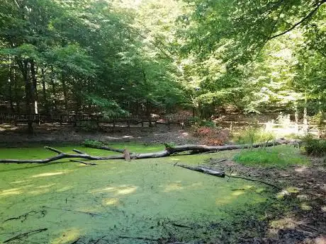 Photo de Laghizzolo del Venda