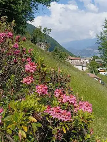Photo de Osiccio di Sotto