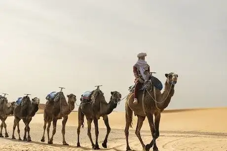 Photo de Morocco Come With Us Tours
