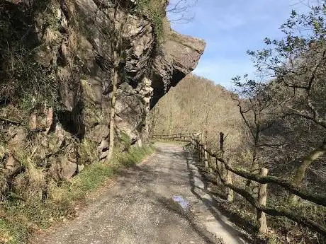 Photo de Txapela/Visera de Bertxin