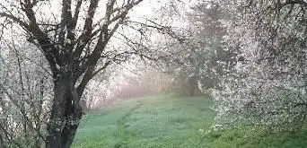 Photo de Lac Des Peupleraies