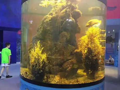 Riverwatch Aquarium and Visitor Centre