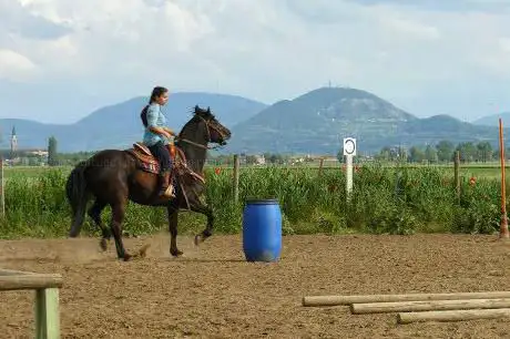 Photo de Centro Equestre Il Salice
