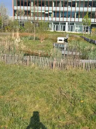 Photo de Forêt linéaire Nord