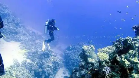 Photo de 따조다합 다이브센터 DDAJO DAHAB