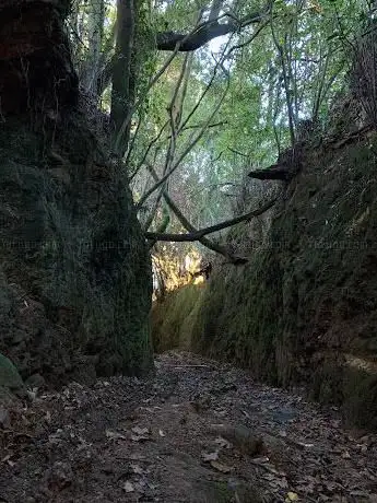 Photo de Congostra da Carballa