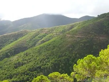 Photo de Paraje Natural Los Reales de Sierra Bermeja