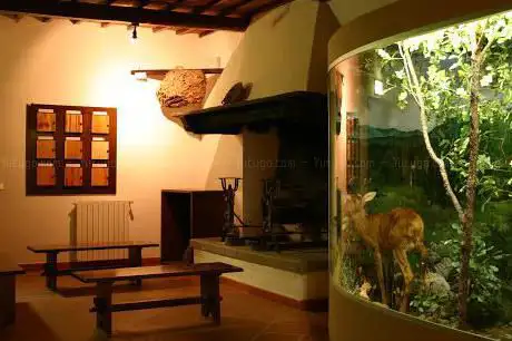 Photo de Museo del fiore