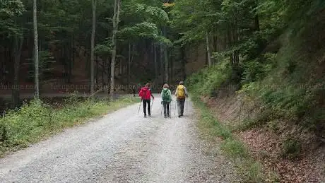Photo de Fonte del Re