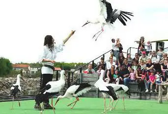 Photo de The Giants of the Sky - Flight Scene