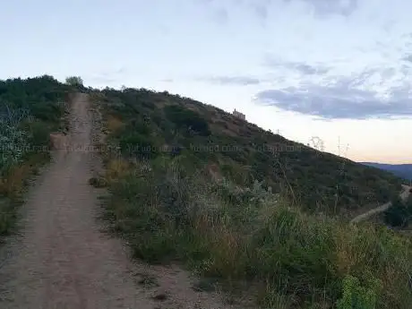 Photo de Reserva Natural del turó de Sant Ramon