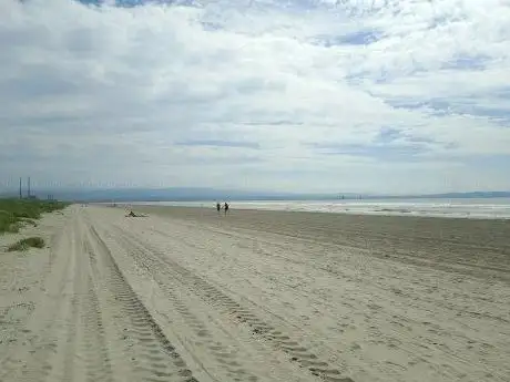 Bull Island