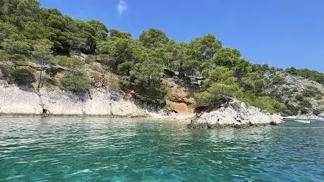 Photo de Excursion francophone en bateau avec Angélique