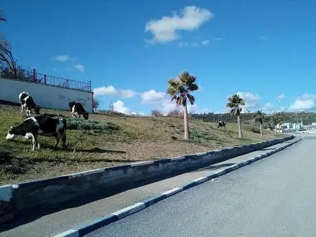 Photo de Lac Sidi Boughaba Parc National