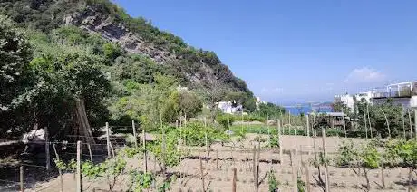 Photo de Ischia - Piazzale Campagnano