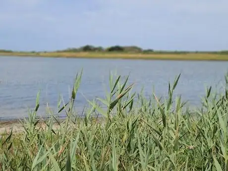 Photo de Rostoonstown Beach