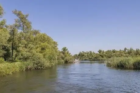 Photo de Parc national De Biesbosch