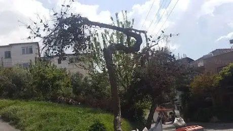 Photo de Nevvar Salih İşgören Park