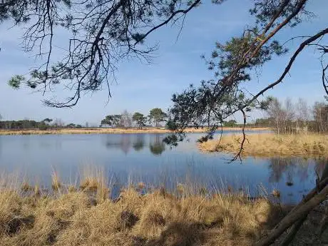 Photo de Grenspark Kalmthoutse Heide