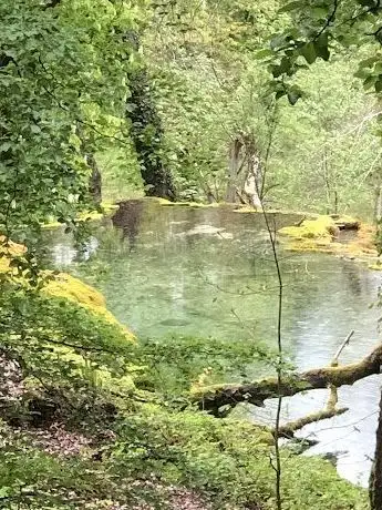 Photo de Cascade de la Tuffière